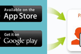 苹果和Google Play绑定Payoneer收款教程（最新版）