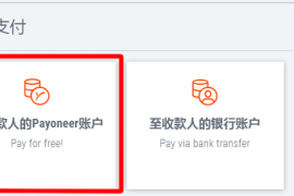 Payoneer外贸e户通用户,如何选择最优方式向客户收款?