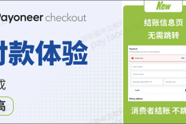 派安盈正式上线Shopify店铺信用卡结账免跳转功能