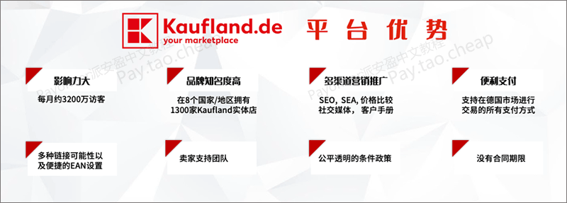 real.de更名Kaufland.de,派安盈橄榄枝计划限时入驻福利 Payoneer教程 第1张